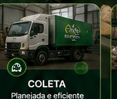 COLETA